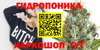 спиды Янаул