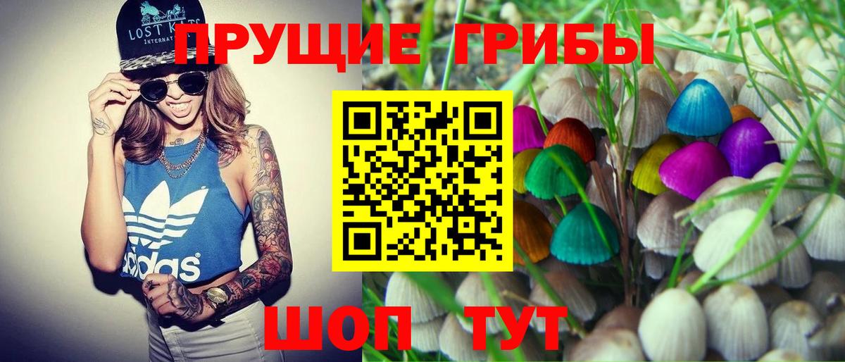 Галлюциногенные грибы ЛСД Орёл