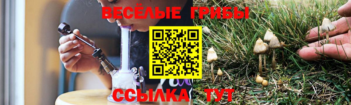 закладки  Вход с VPN  Орёл  Галлюциногенные грибы мухоморы 